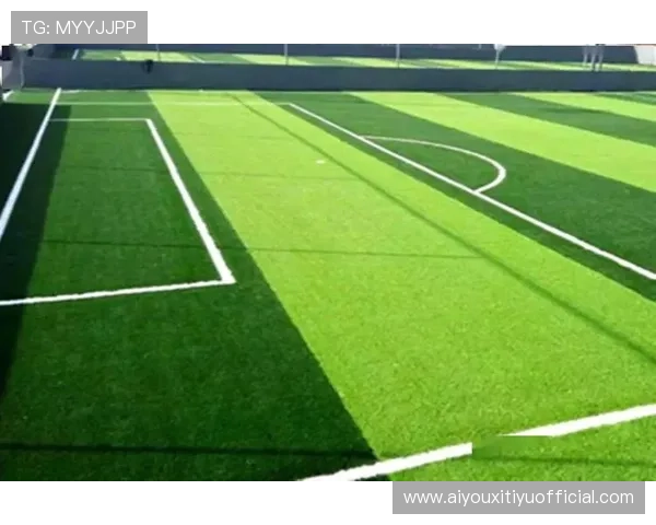 城市体育设施规划系统通过仿真优化布局