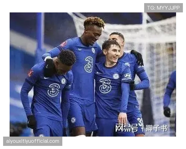 切尔西夏窗寻锋盯上埃梅加，计划引进新中锋